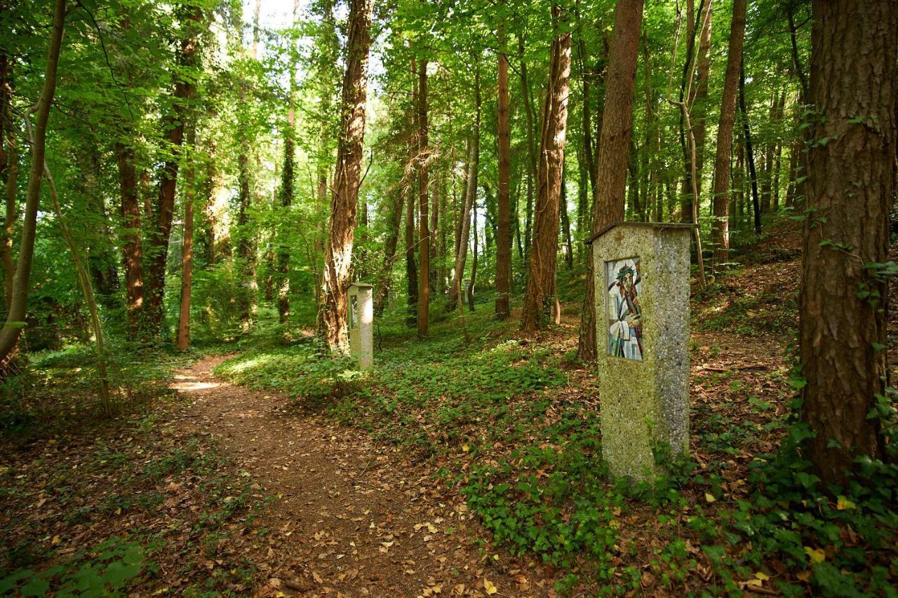 Gaestehaus St Theresia Bodensee Eriskirch Buitenkant foto